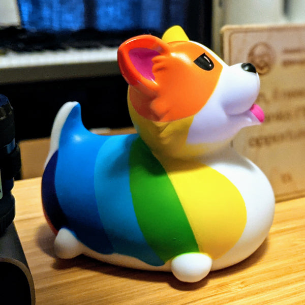a corgi duck on a shelf in profile view